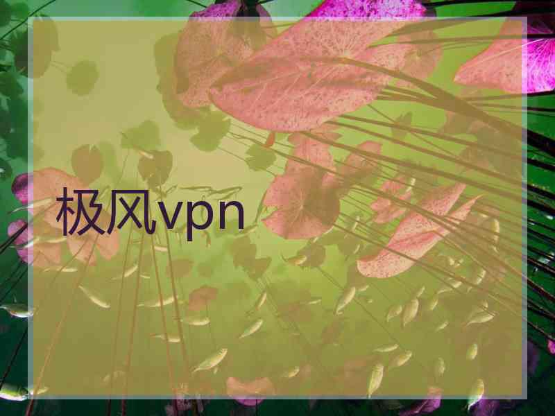 极风vpn