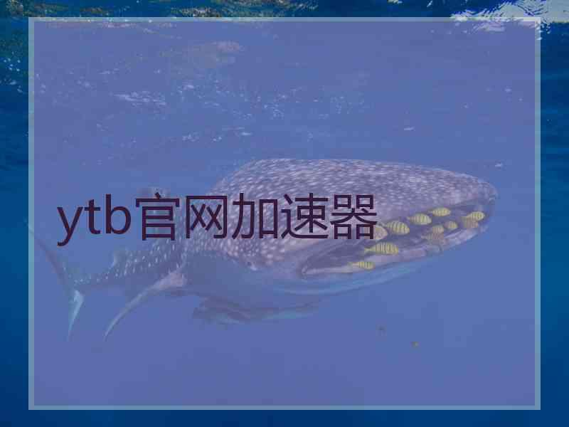 ytb官网加速器