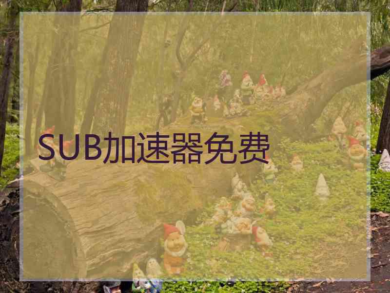 SUB加速器免费