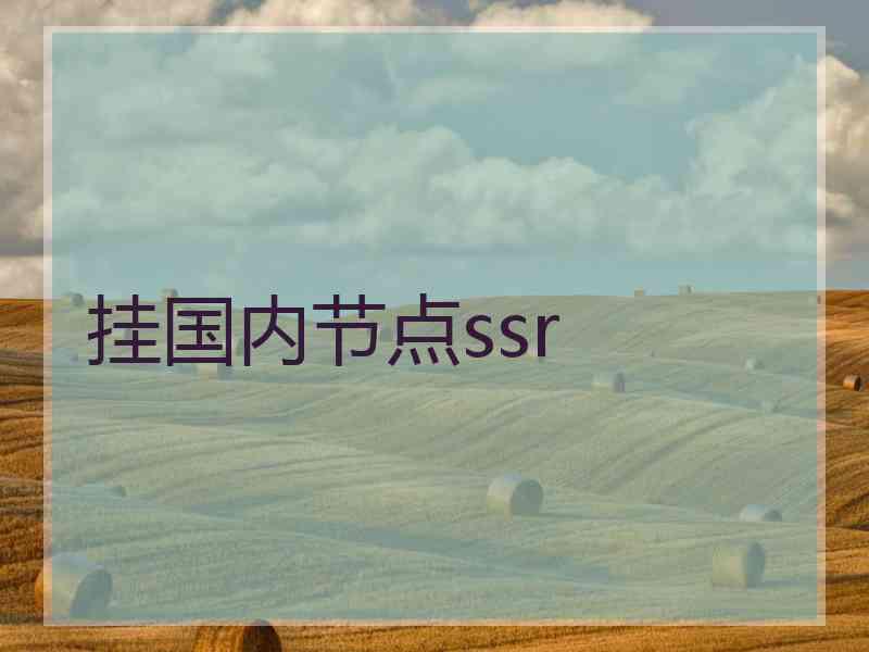 挂国内节点ssr