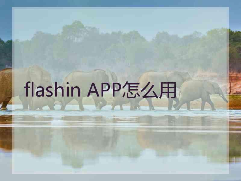 flashin APP怎么用