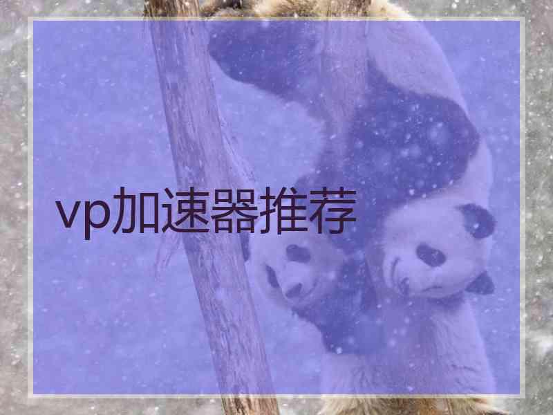 vp加速器推荐