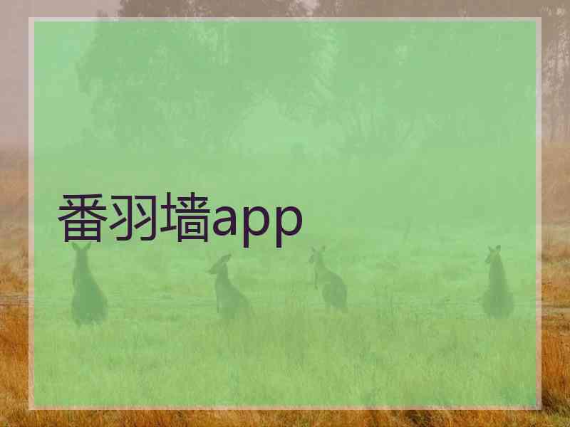 番羽墙app