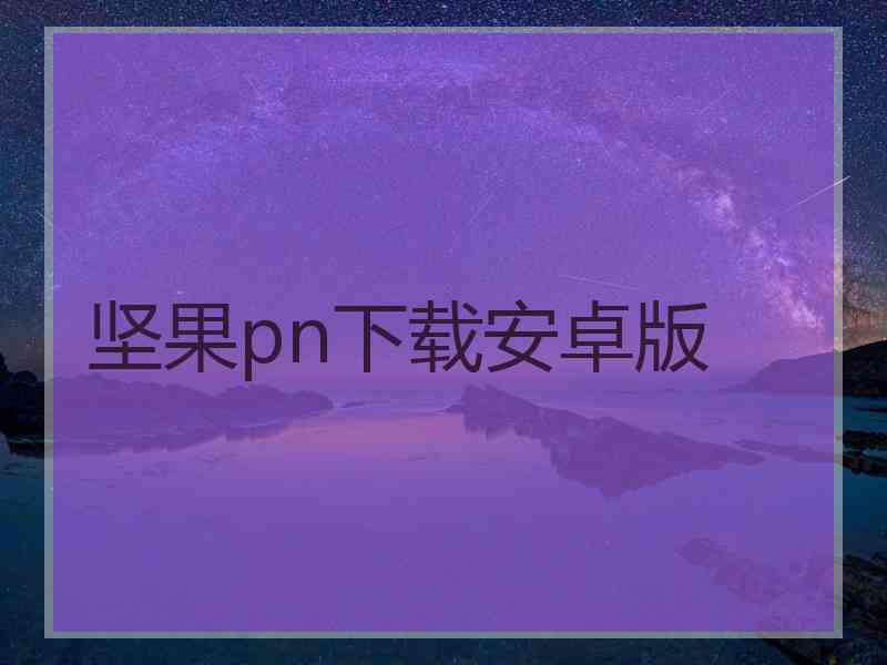 坚果pn下载安卓版