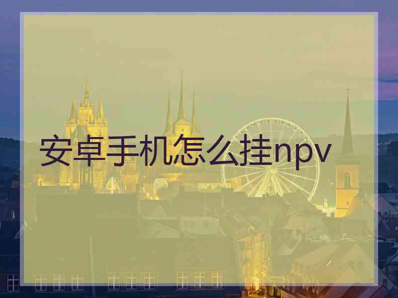 安卓手机怎么挂npv