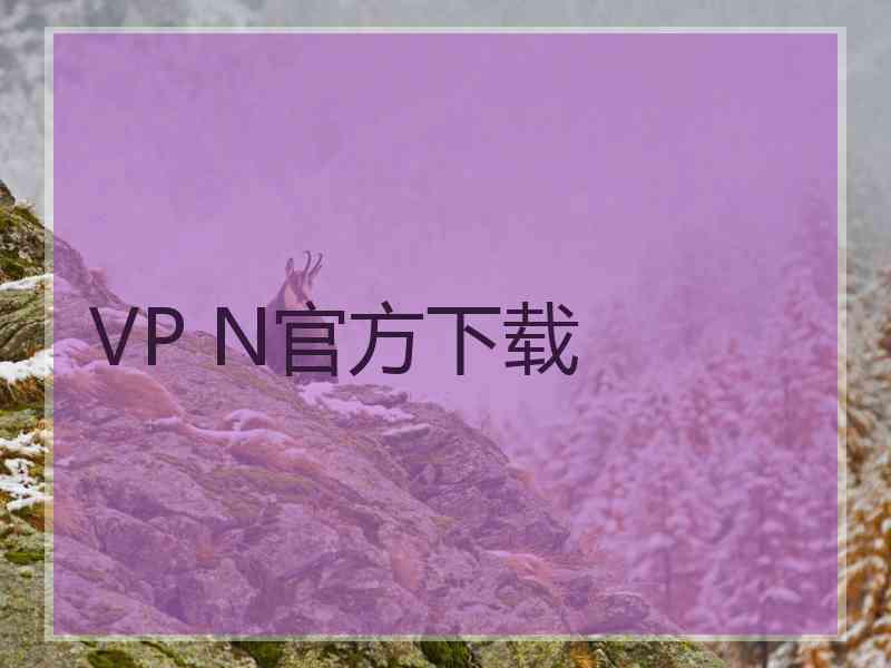 VP N官方下载