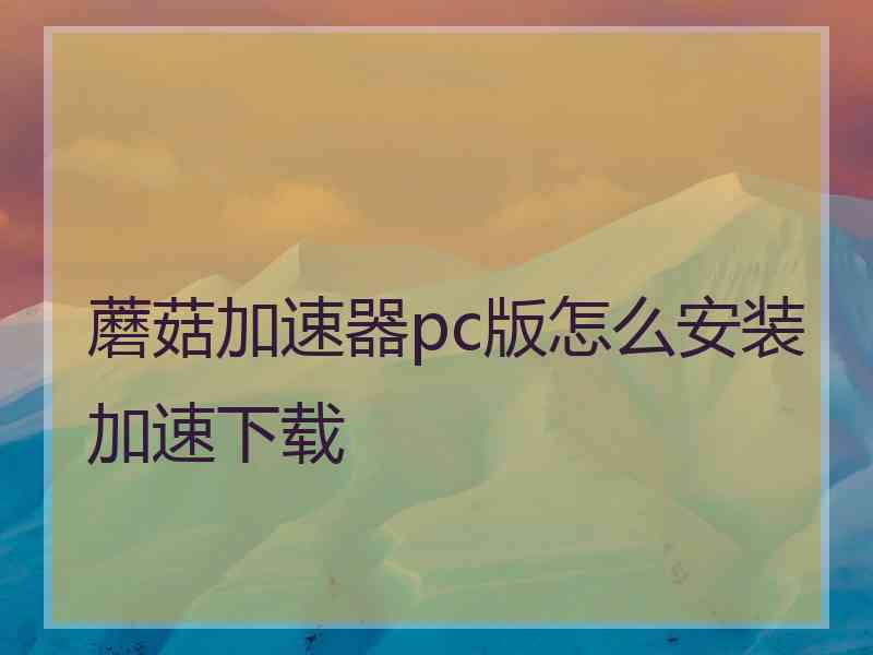 蘑菇加速器pc版怎么安装加速下载