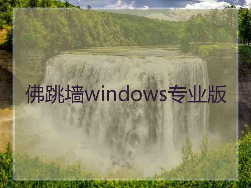 佛跳墙windows专业版