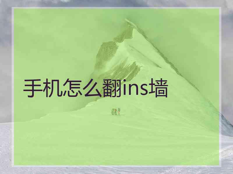 手机怎么翻ins墙