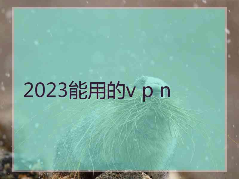 2023能用的v p n