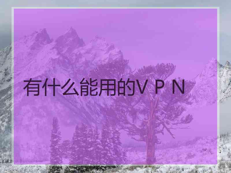 有什么能用的V P N