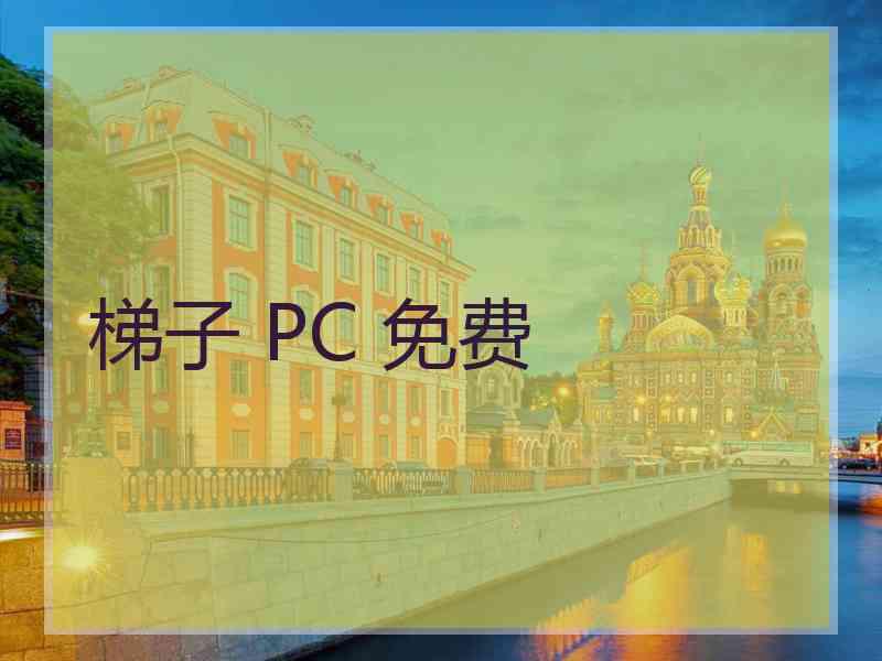 梯子 PC 免费