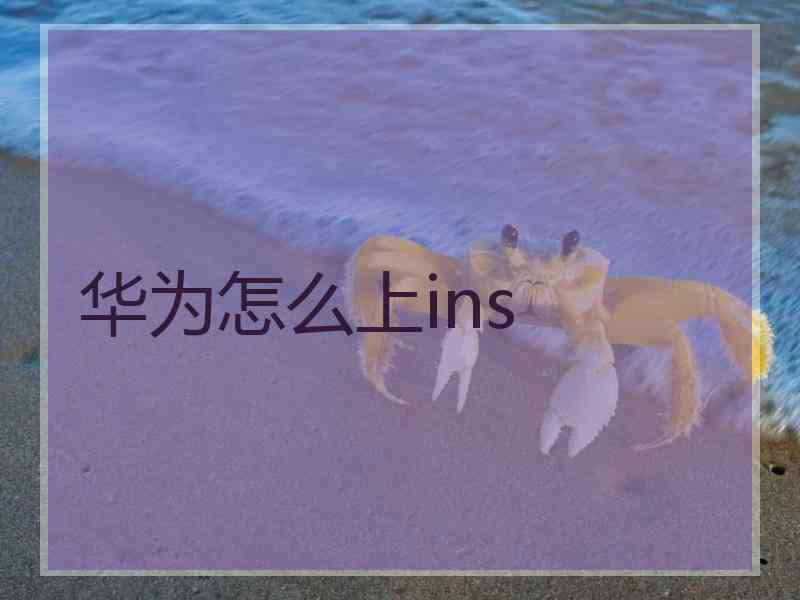 华为怎么上ins