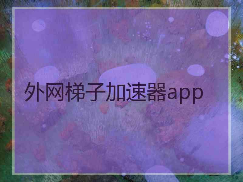 外网梯子加速器app