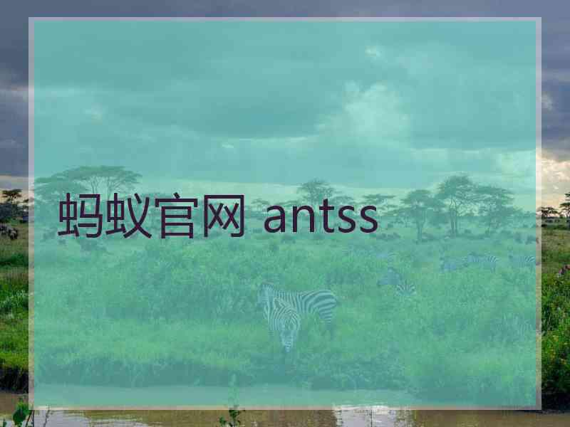 蚂蚁官网 antss