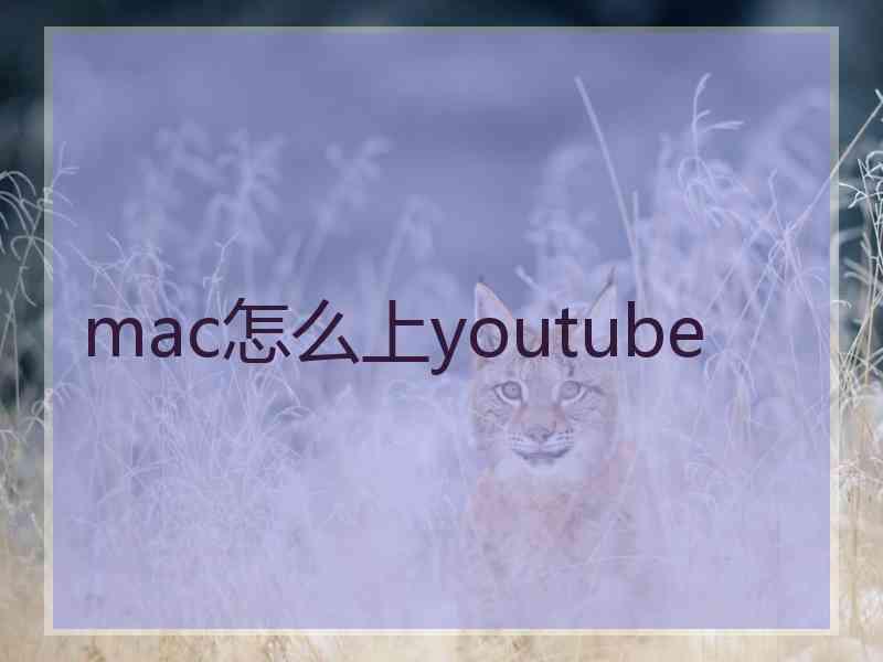 mac怎么上youtube