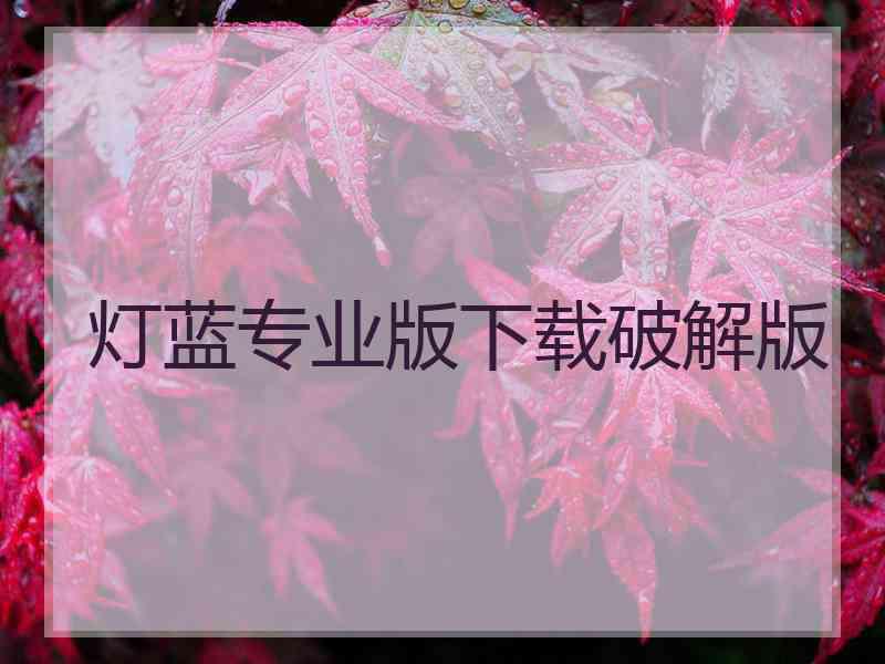 灯蓝专业版下载破解版