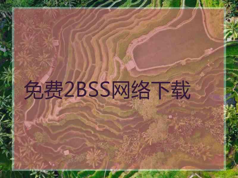 免费2BSS网络下载