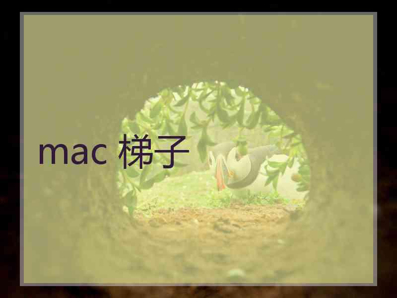 mac 梯子