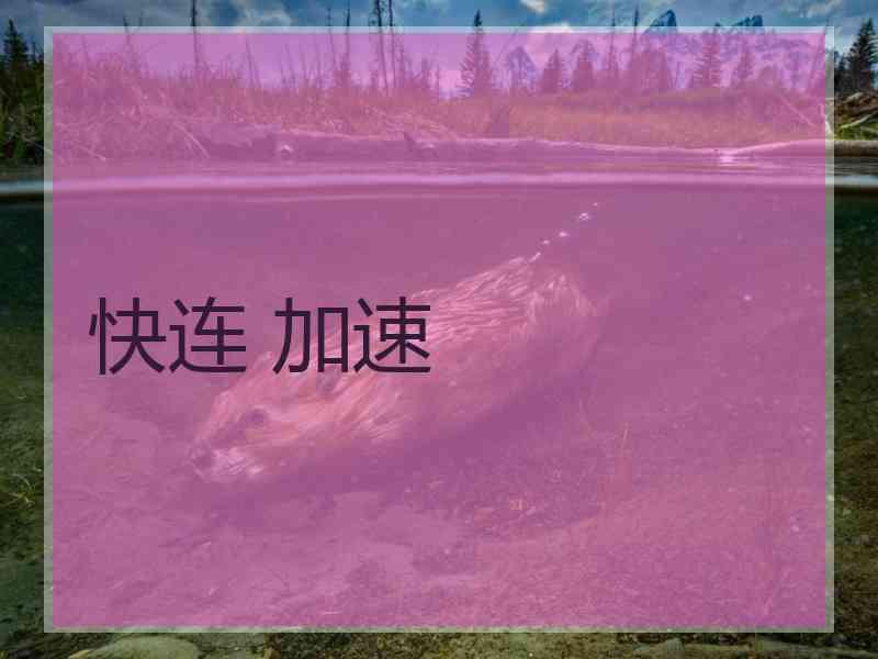 快连 加速