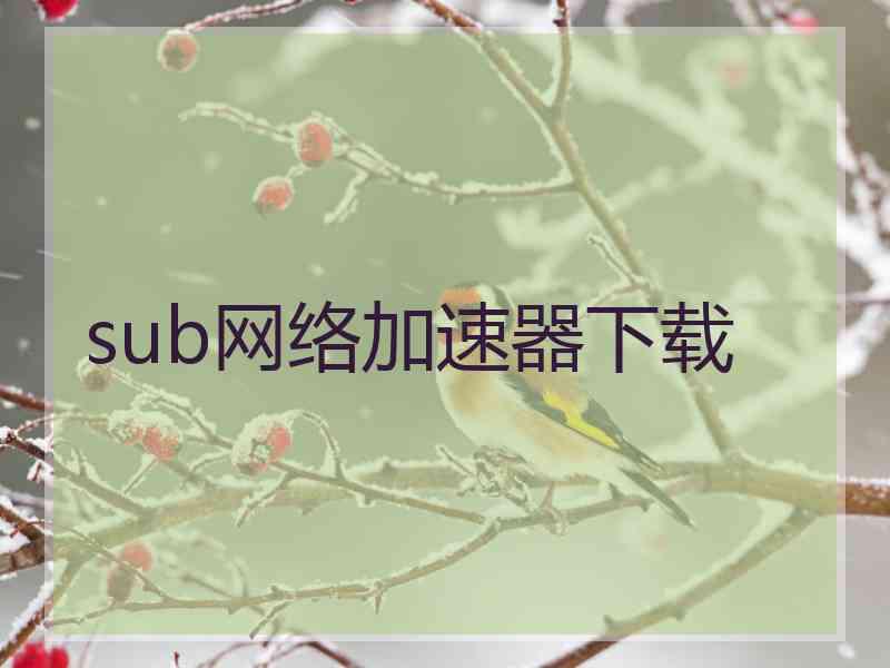 sub网络加速器下载