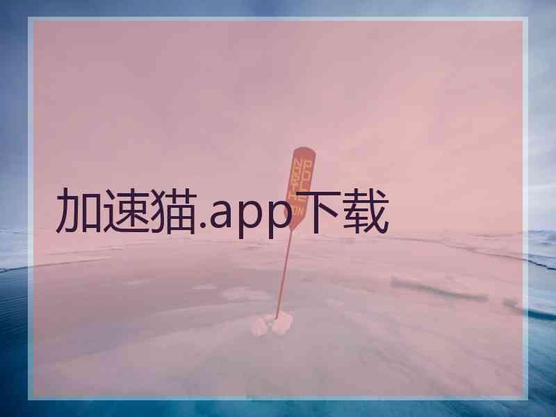 加速猫.app下载