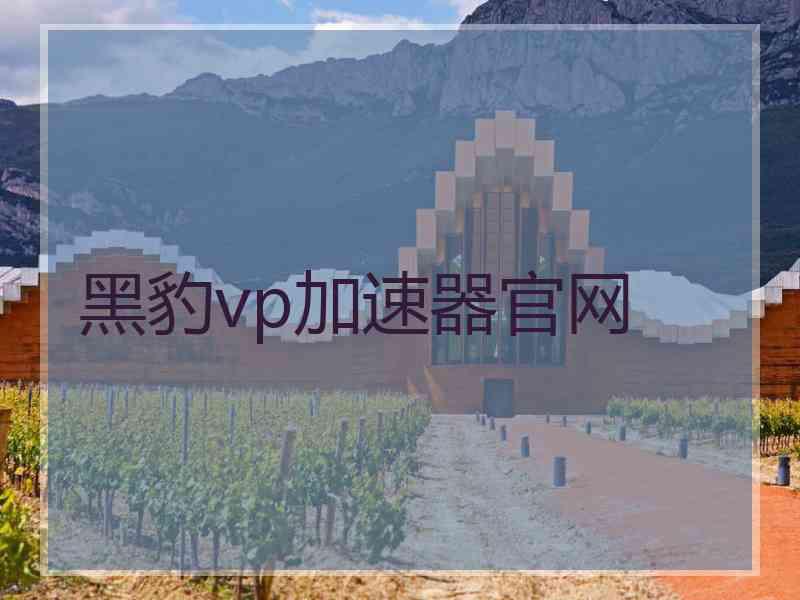 黑豹vp加速器官网