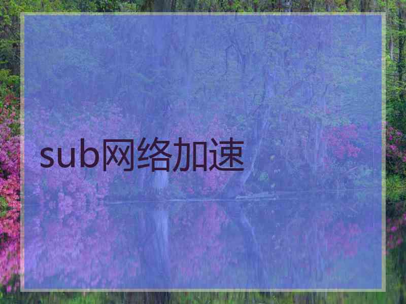 sub网络加速