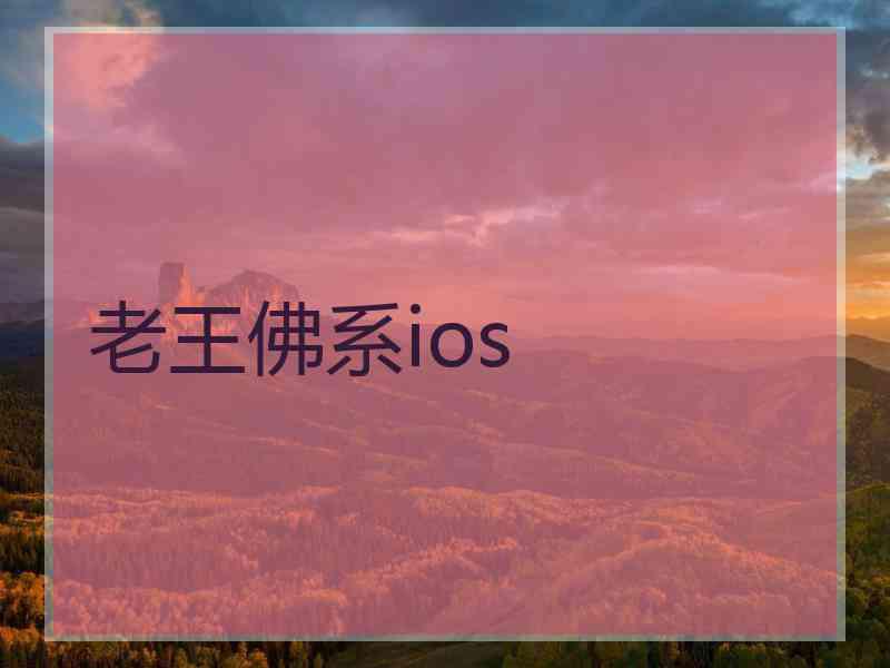 老王佛系ios