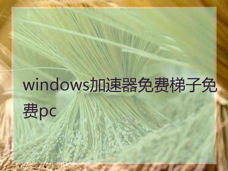 windows加速器免费梯子免费pc