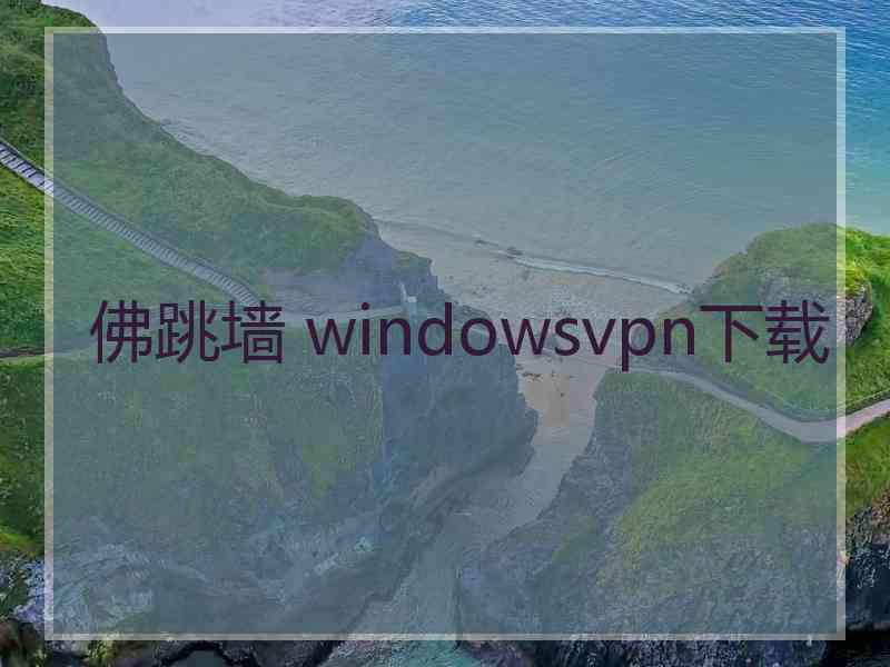 佛跳墙 windowsvpn下载