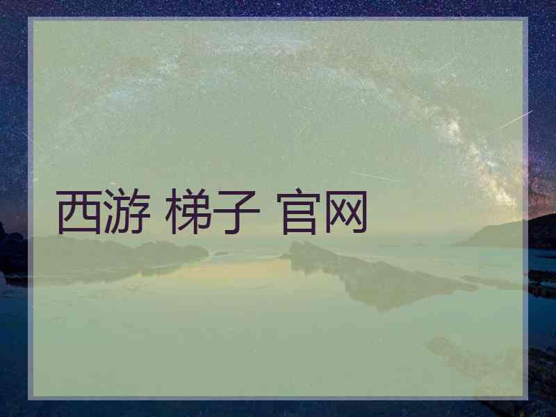 西游 梯子 官网