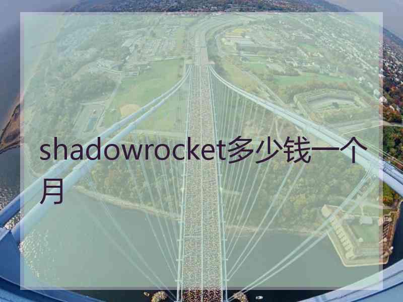 shadowrocket多少钱一个月