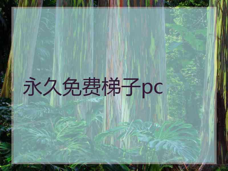 永久免费梯子pc