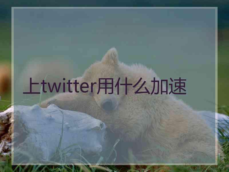 上twitter用什么加速