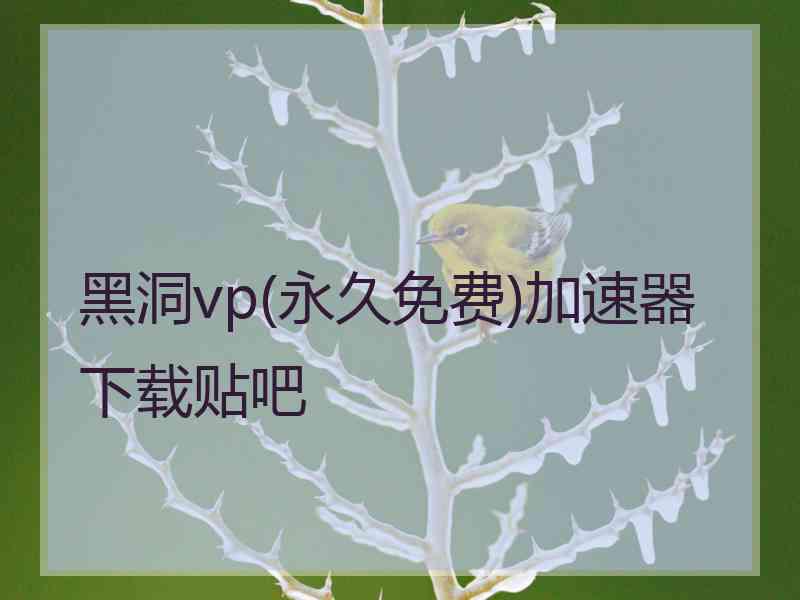 黑洞vp(永久免费)加速器下载贴吧