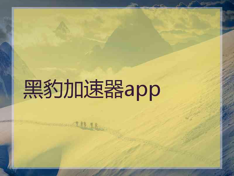 黑豹加速器app