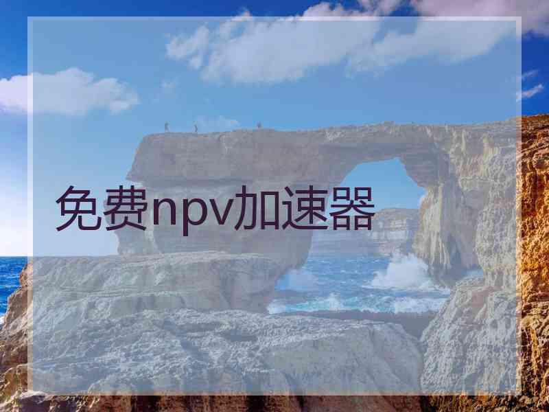 免费npv加速器