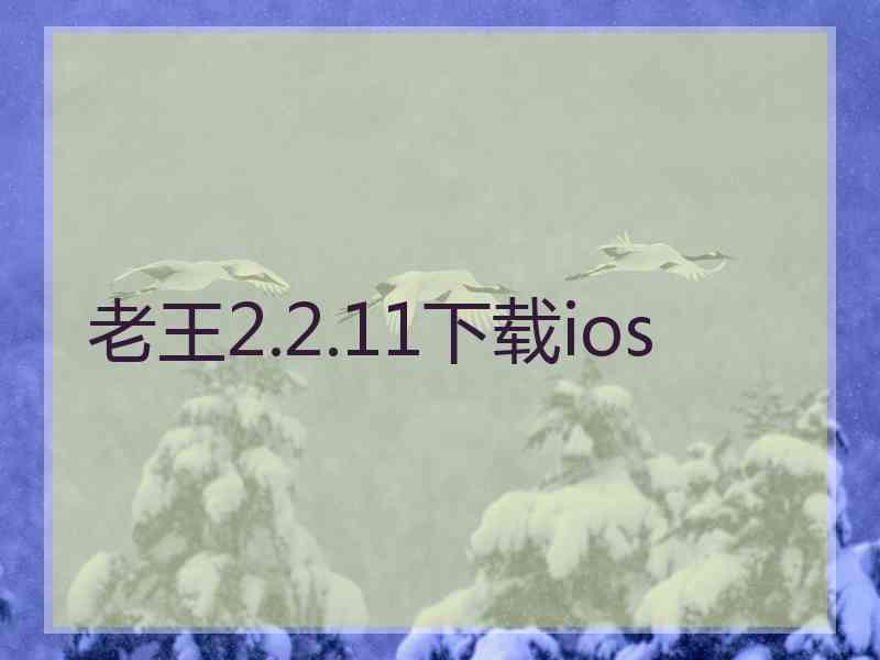 老王2.2.11下载ios