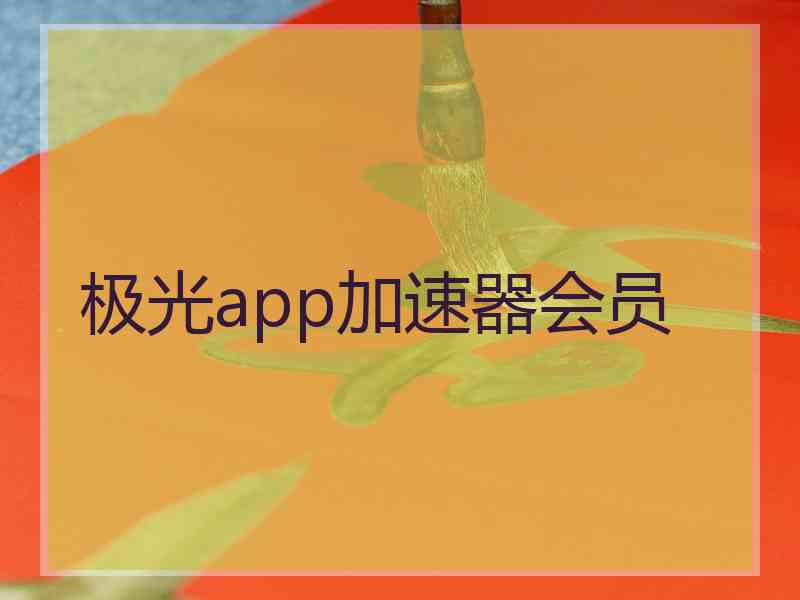 极光app加速器会员