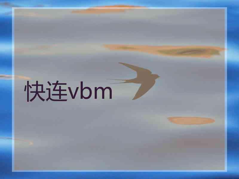 快连vbm