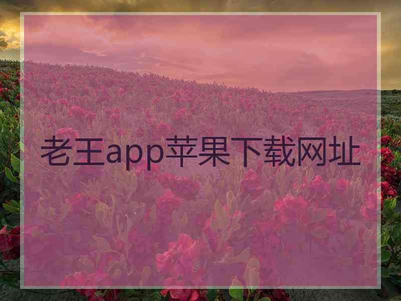 老王app苹果下载网址