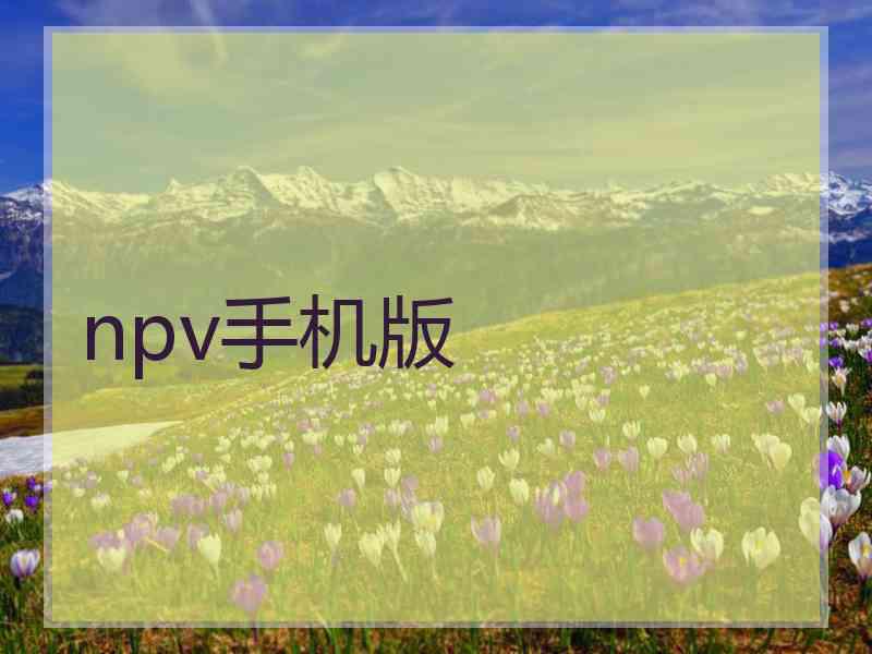 npv手机版