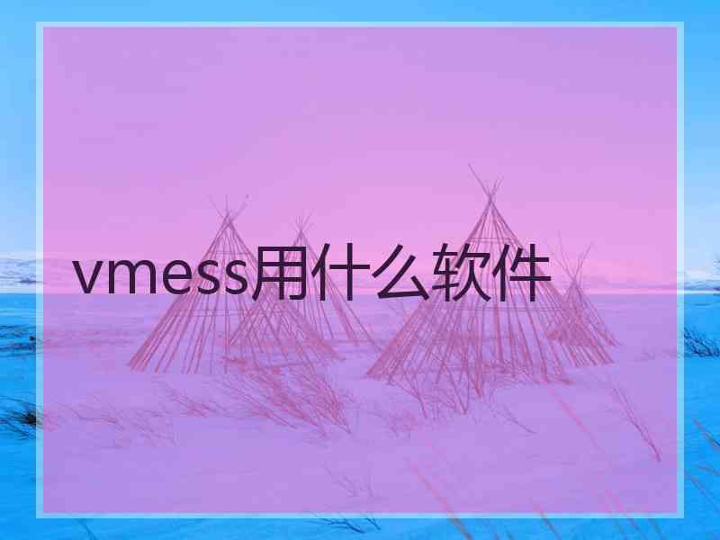 vmess用什么软件