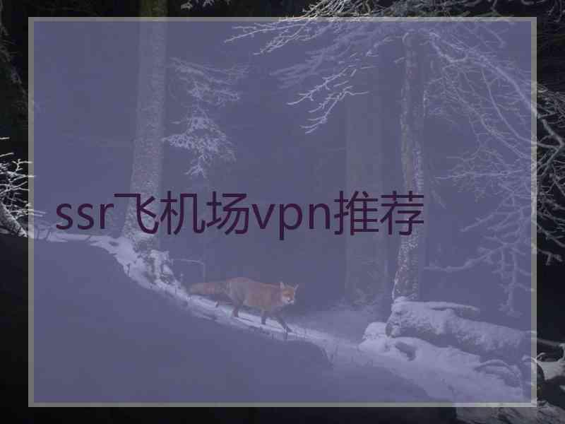 ssr飞机场vpn推荐