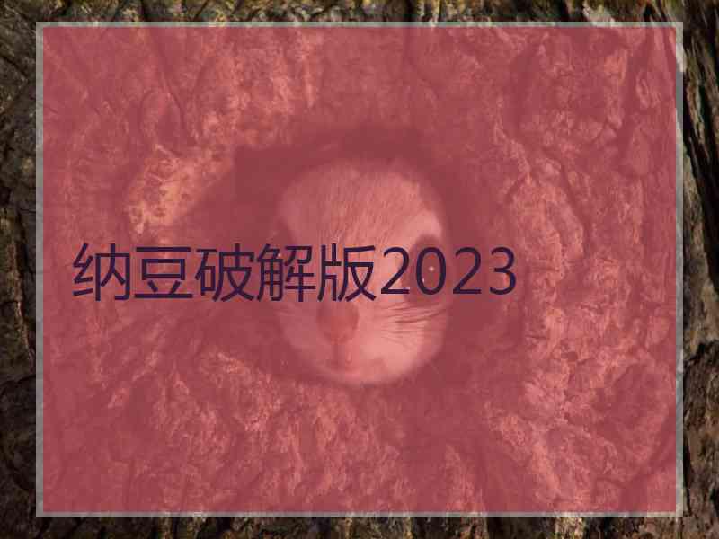 纳豆破解版2023