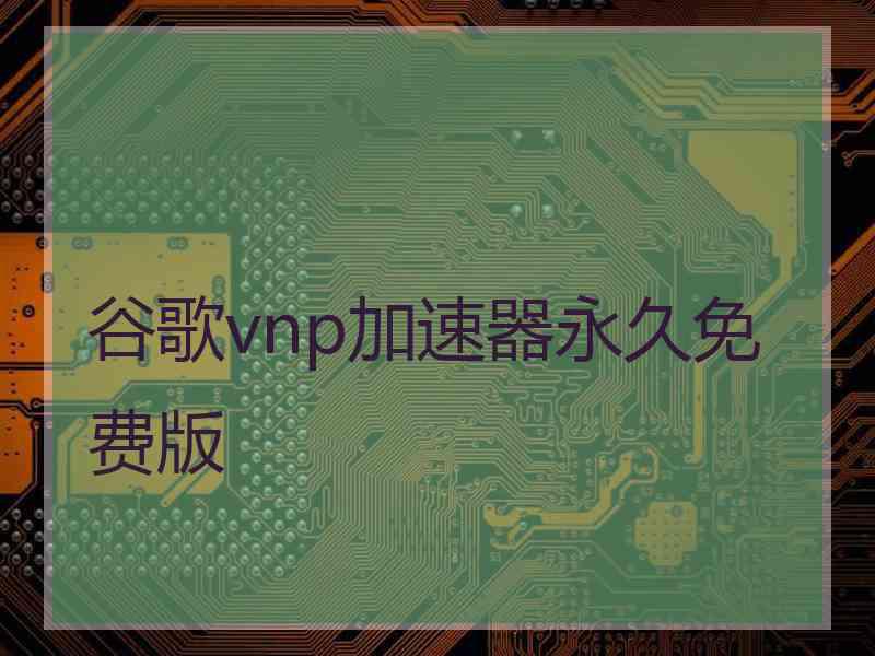 谷歌vnp加速器永久免费版