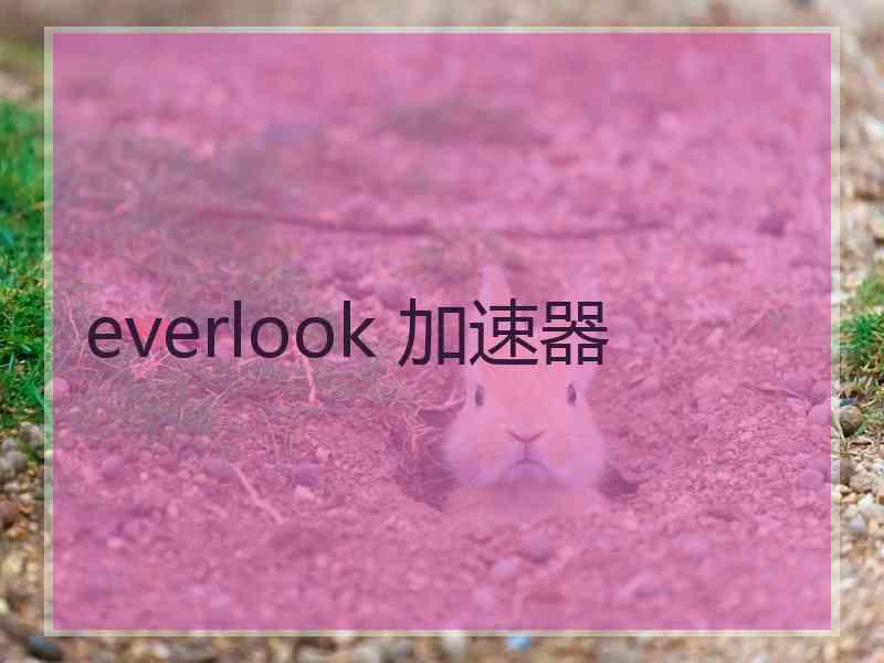 everlook 加速器