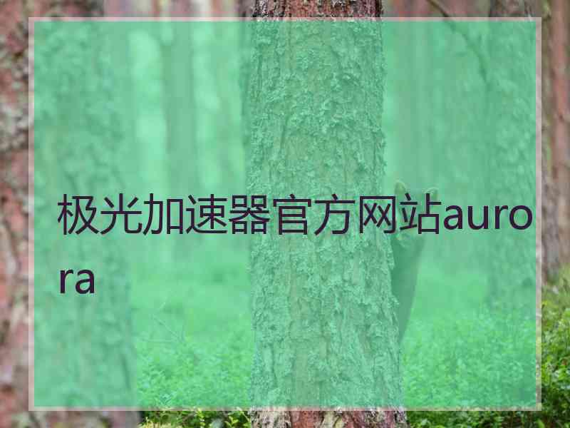 极光加速器官方网站aurora