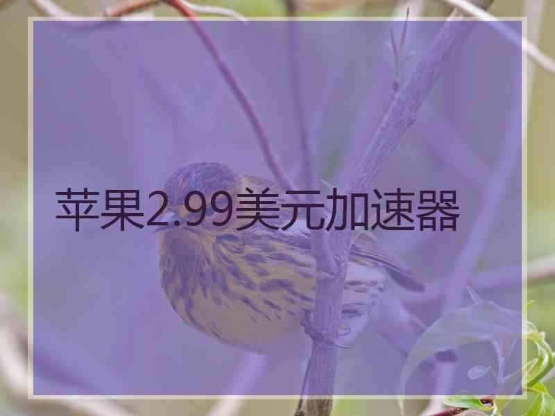 苹果2.99美元加速器